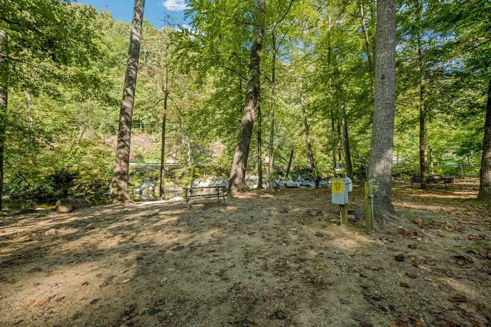 Yogi Bear's Jellystone Park™ - Cherokee NC 7