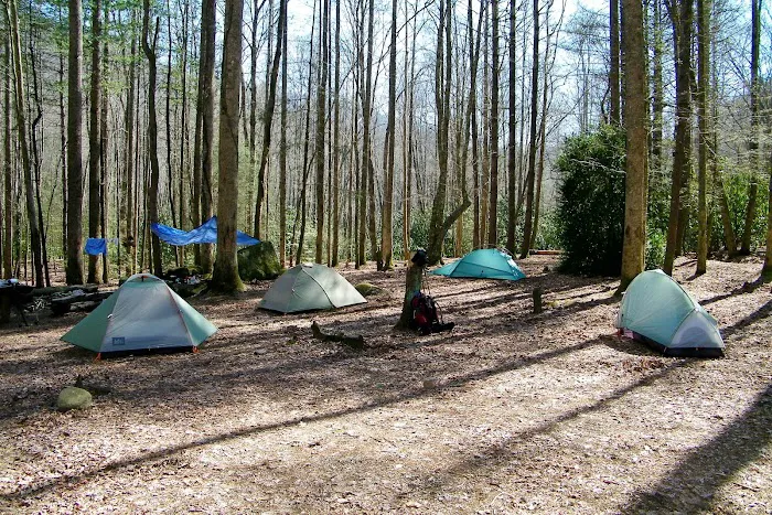 Backcountry Campsite #75 1