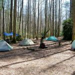Backcountry Campsite #75