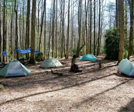 Backcountry Campsite #75