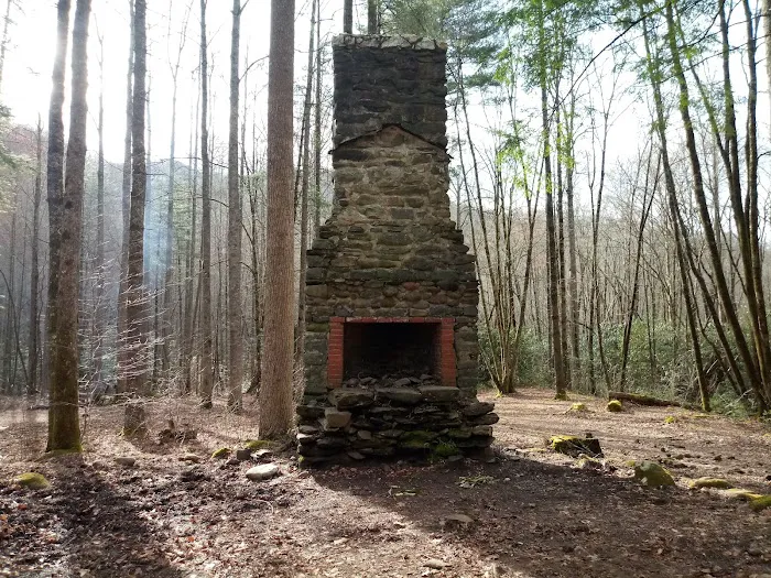 Backcountry Campsite #75 2