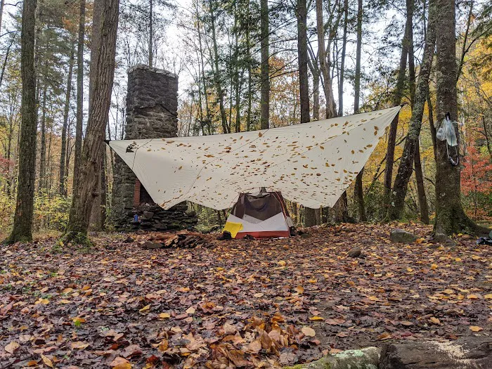 Backcountry Campsite #75 3