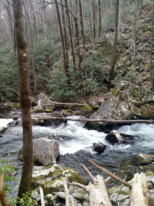 Backcountry Campsite #75 4