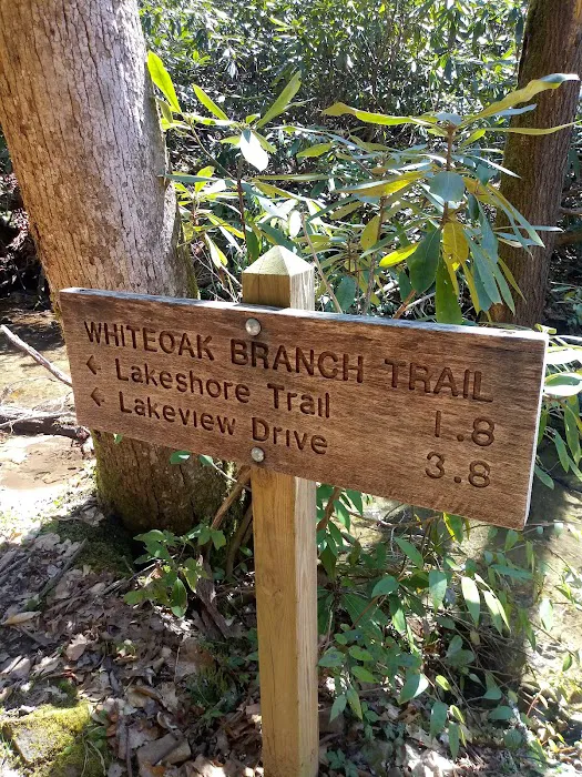 Backcountry Campsite #75 7