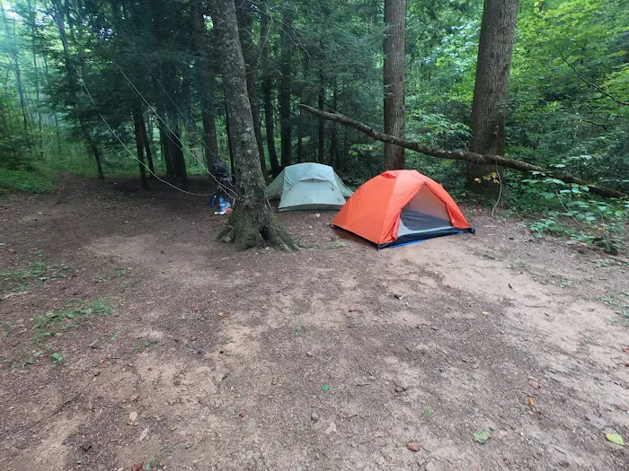 Backcountry Campsite #75 8