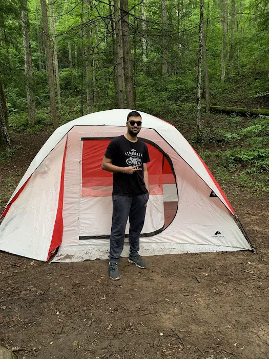 Backcountry Campsite #75 9