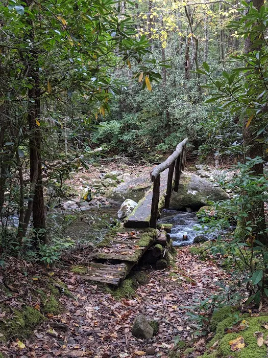 Hazel Creek Upper Bunkhouse 1