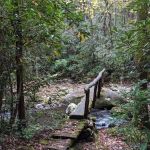 Hazel Creek Upper Bunkhouse