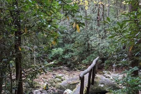 Hazel Creek Upper Bunkhouse