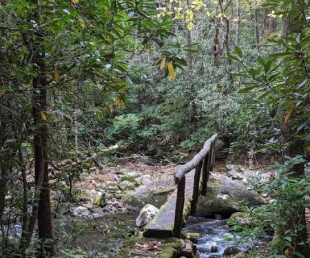 Hazel Creek Upper Bunkhouse