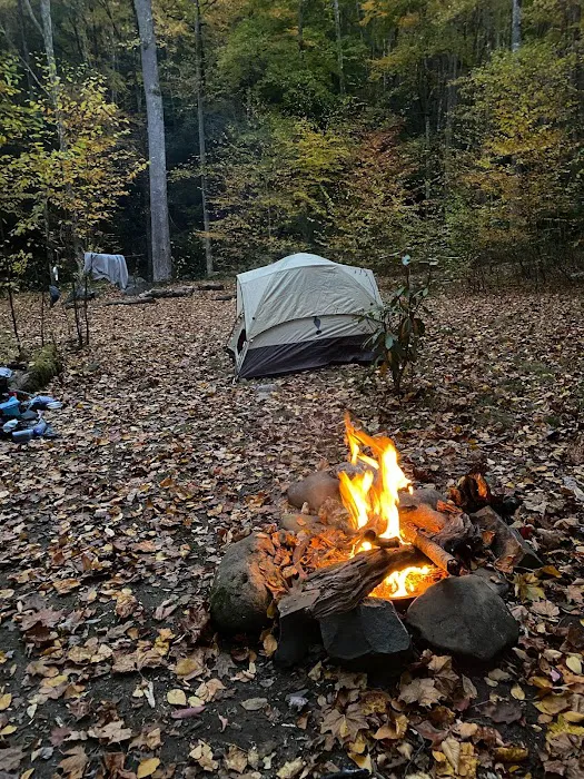 Hazel Creek Upper Bunkhouse 2
