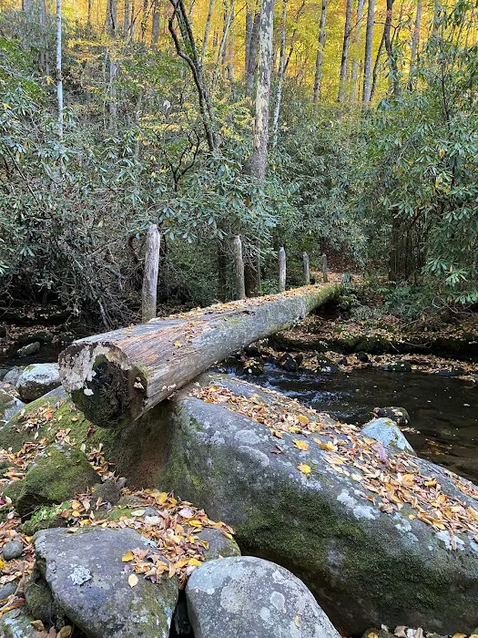 Hazel Creek Upper Bunkhouse 4