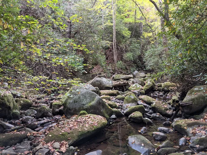 Hazel Creek Upper Bunkhouse 5
