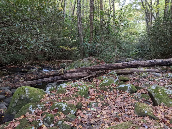 Hazel Creek Upper Bunkhouse 6