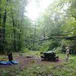 Backcountry Campsite #82