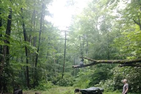 Backcountry Campsite #82