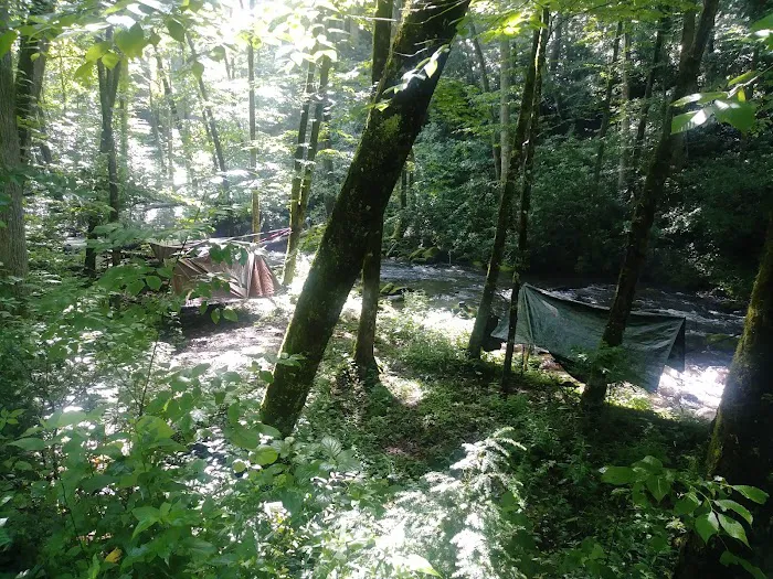 Backcountry Campsite #82 5