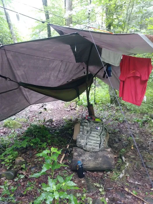 Backcountry Campsite #82 8