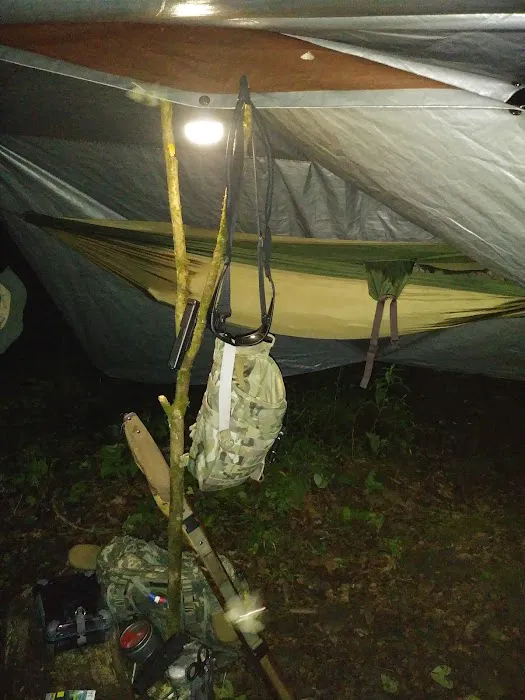 Backcountry Campsite #82 10