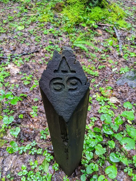 Backcountry Campsite #69 4