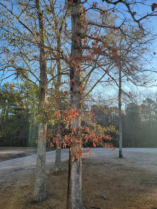 Brookgreen Mobile Home Rentals 3