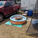 Young easy in easy out parking llc