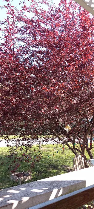 Green Dolphin Mobile Home Park 5