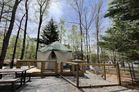 Four Paws Kingdom Campground & Dog Retreat
