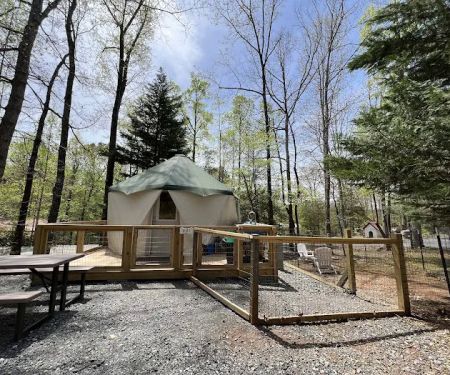 Four Paws Kingdom Campground & Dog Retreat