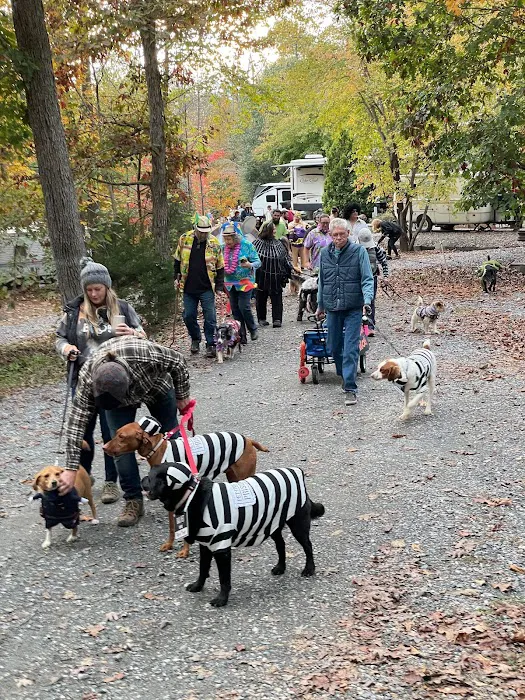Four Paws Kingdom Campground & Dog Retreat 8
