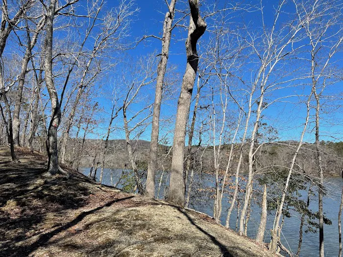 Morrow Mountain State Park Campground 3