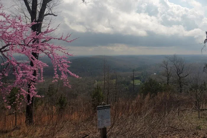 Morrow Mountain State Park Campground 8