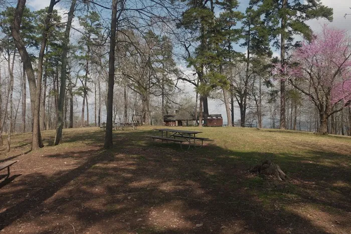 Morrow Mountain State Park Campground 7