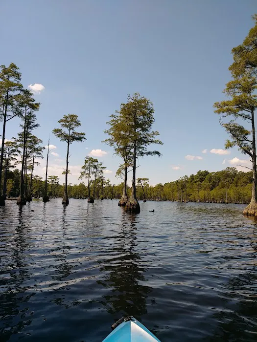 Cheraw Campground 2