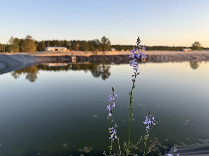 Standing Pines Campground and RV Resort 3