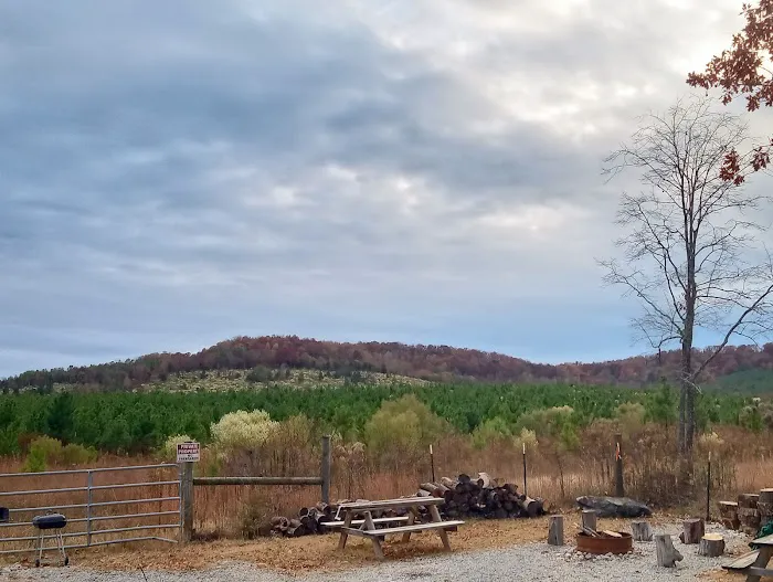 RV Park 5