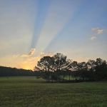 Glenhaven Private Campground