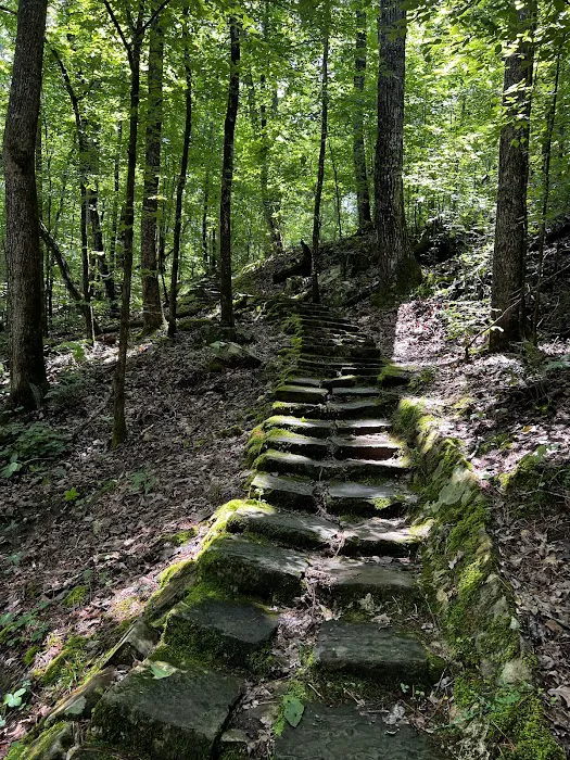Tishomingo State Park Campground 7