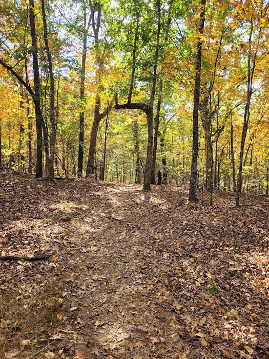 Tishomingo State Park Campground 8