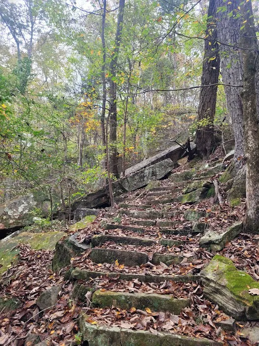 Tishomingo State Park Campground 10