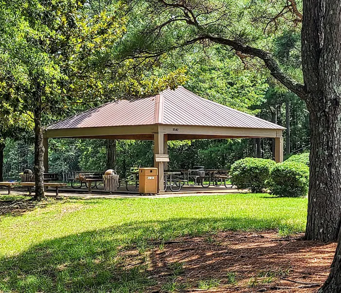Piney Grove Campground 3