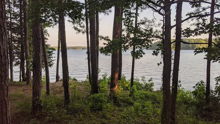 Piney Grove Campground 5