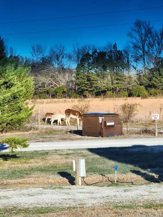 Northgate RV Travel Park 9