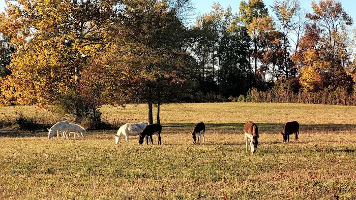 Northgate RV Travel Park 8