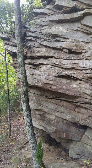 Bluff Creek Falls 8