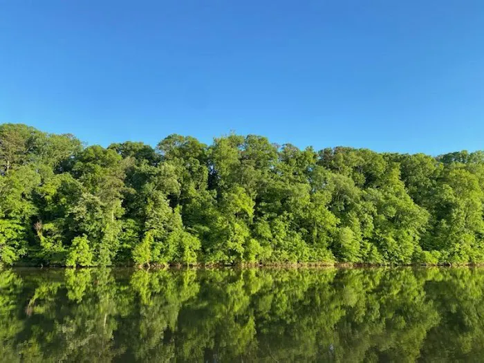 Tidmore Village Campground 8