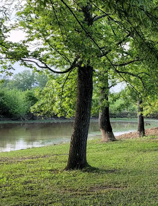 Tidmore Village Campground 9