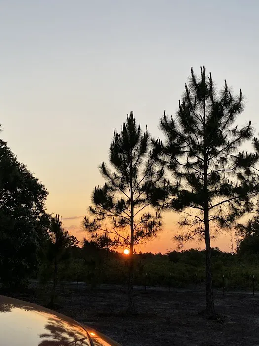 Rancho Tierra Linda 9