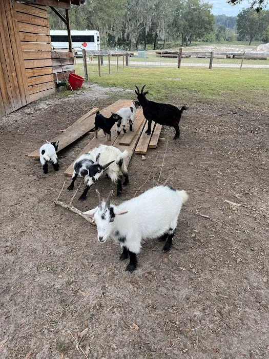 Wilderness Shores Ranch & Campground 7