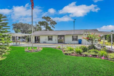 Pine Ridge Estates